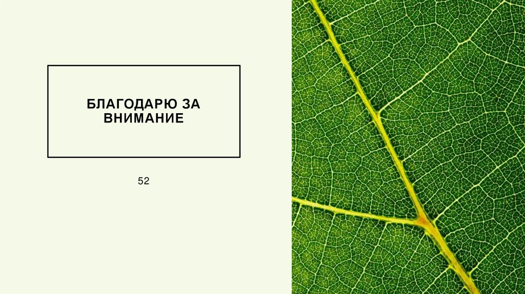 Благодарю за внимание