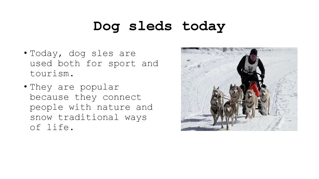 Dog sleds today