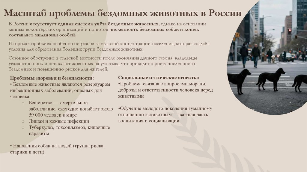 Масштаб проблемы бездомных животных в России