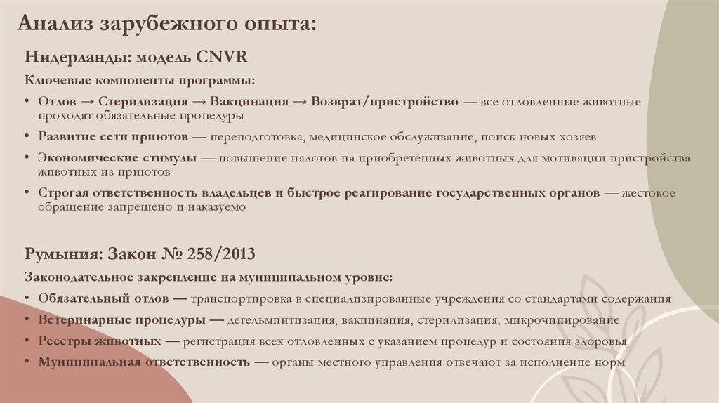 Анализ зарубежного опыта: