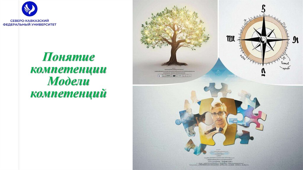 Понятие компетенции Модели компетенций