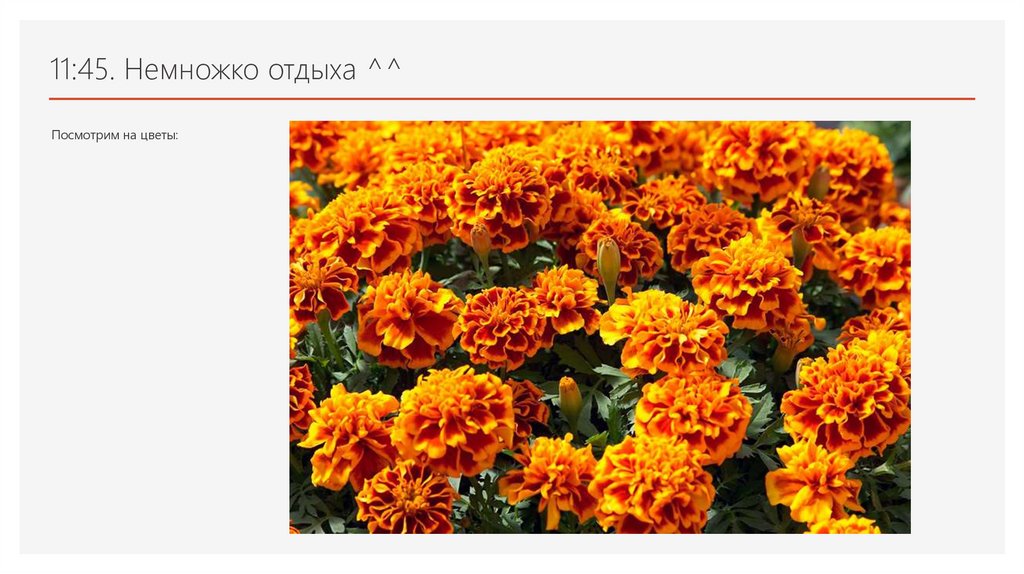 11:45. Немножко отдыха ^^