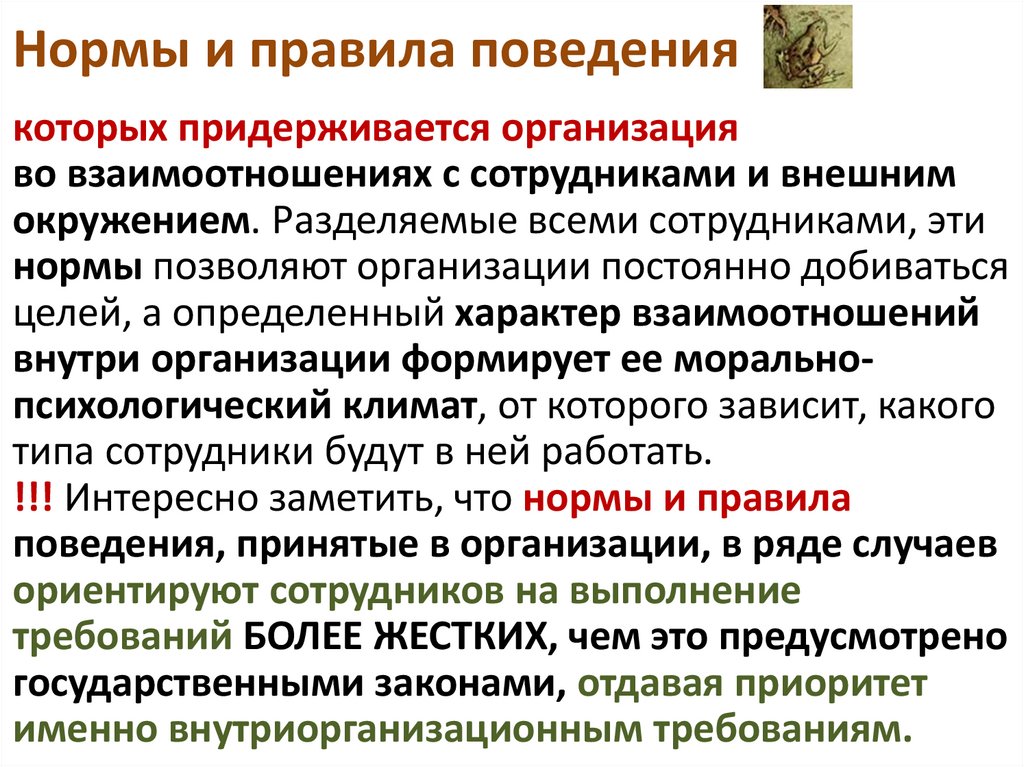 Нормы и правила поведения