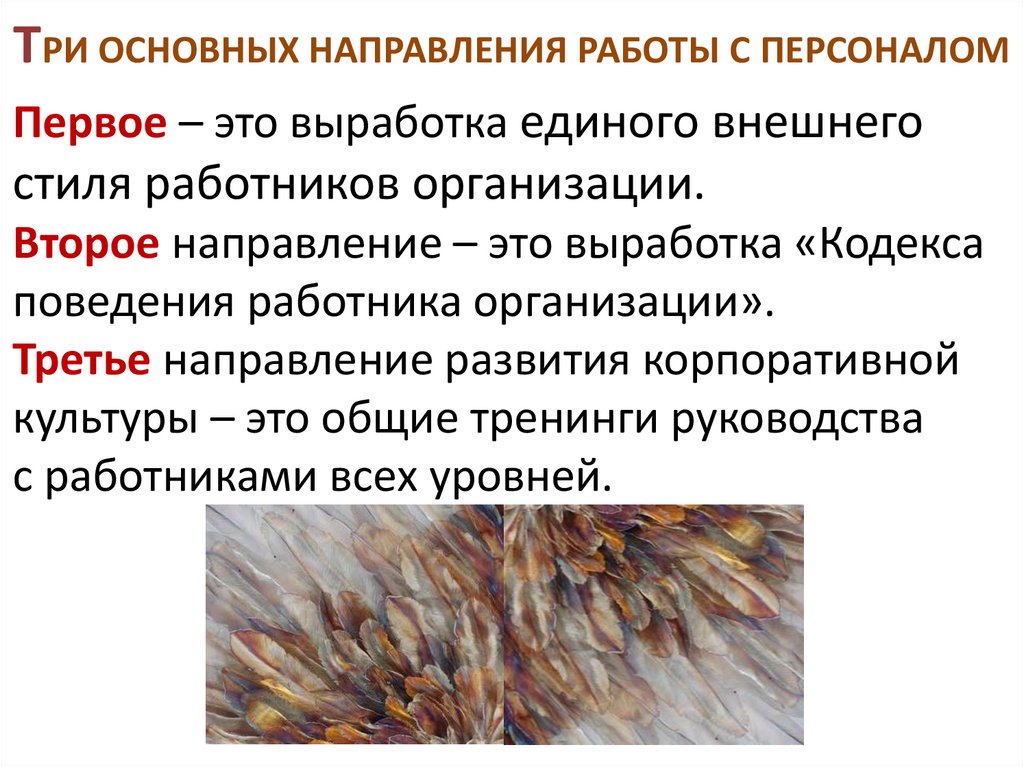 ТРИ ОСНОВНЫХ НАПРАВЛЕНИЯ РАБОТЫ С ПЕРСОНАЛОМ