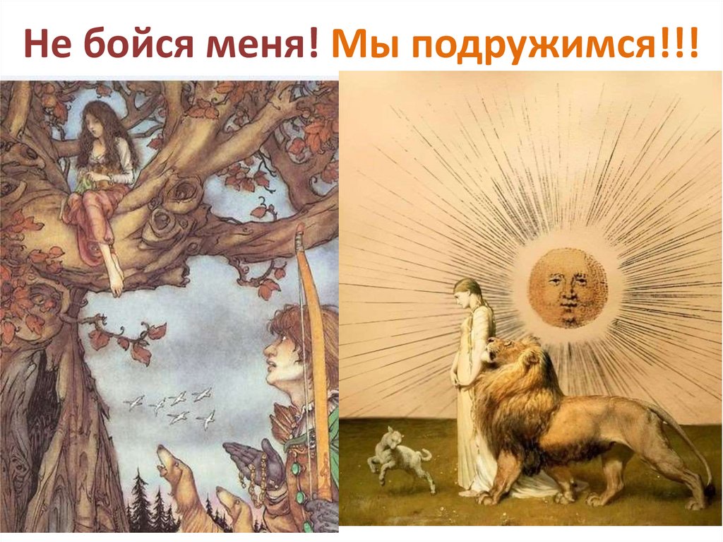 Не бойся меня! Мы подружимся!!!