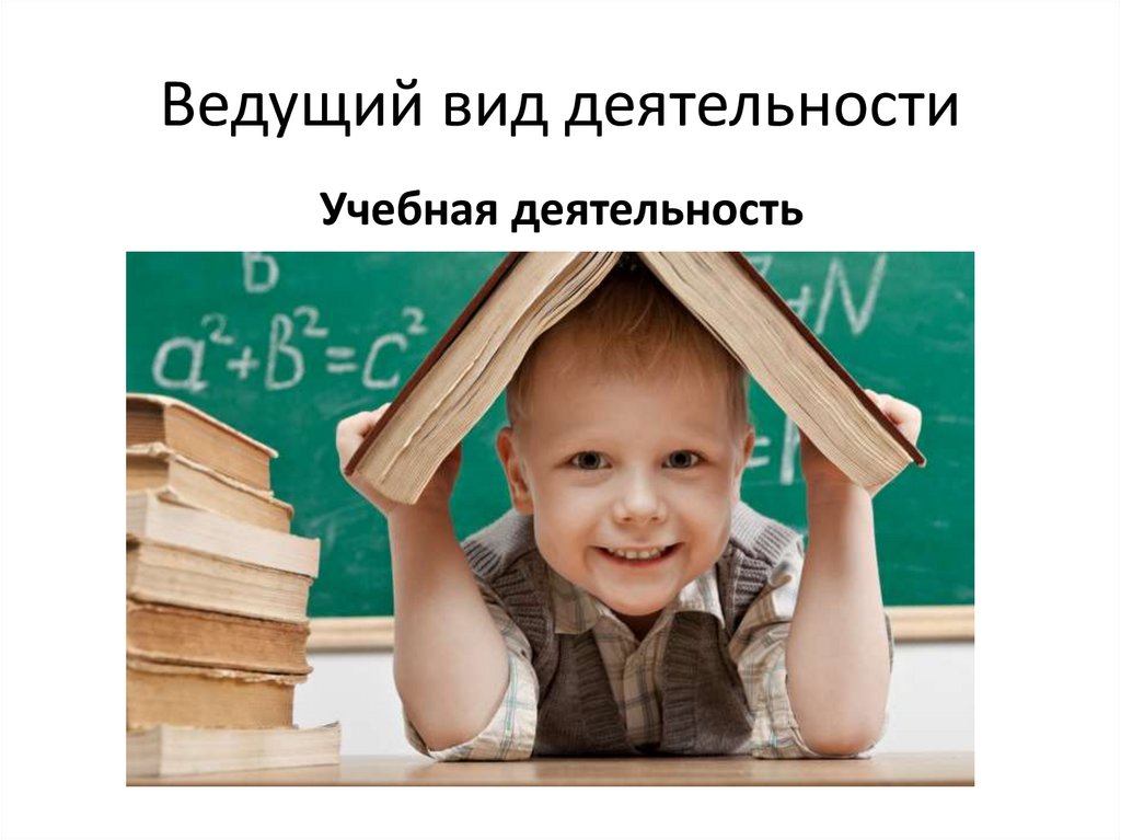 Ведущий вид деятельности