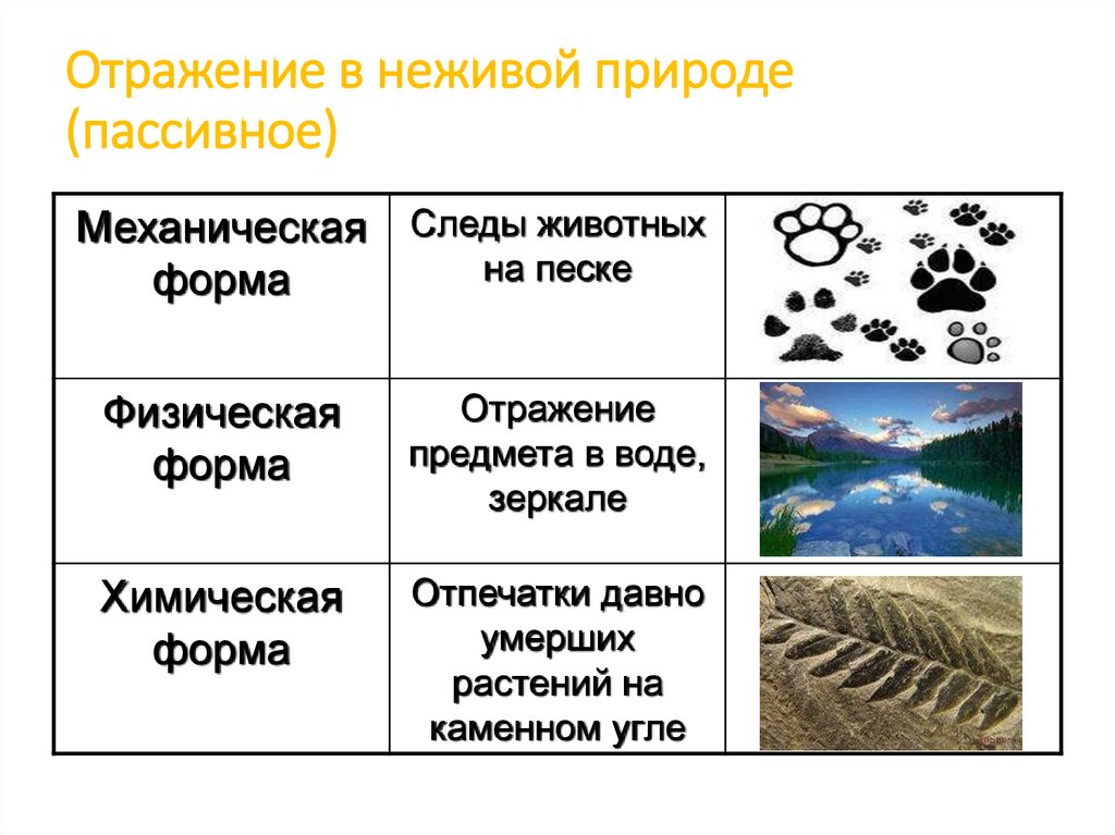 Отражение в неживой природе (пассивное)
