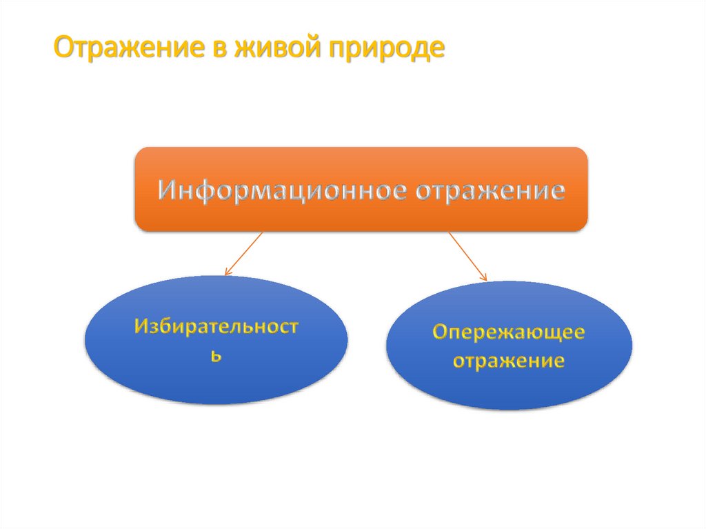 Отражение в живой природе