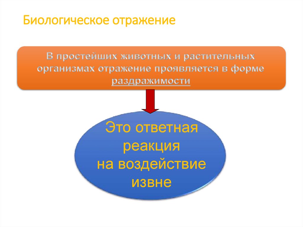 Биологическое отражение