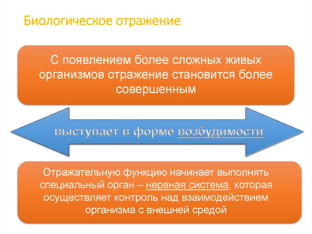 Биологическое отражение