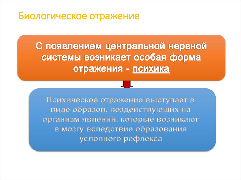 Биологическое отражение