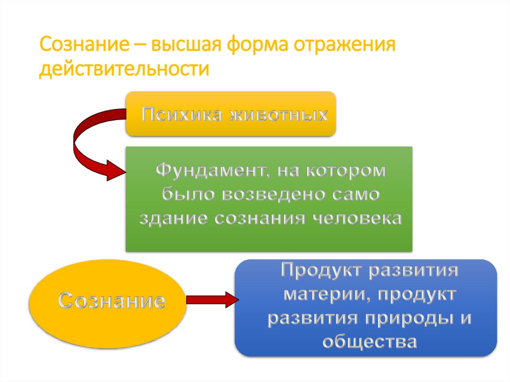Сознание – высшая форма отражения действительности
