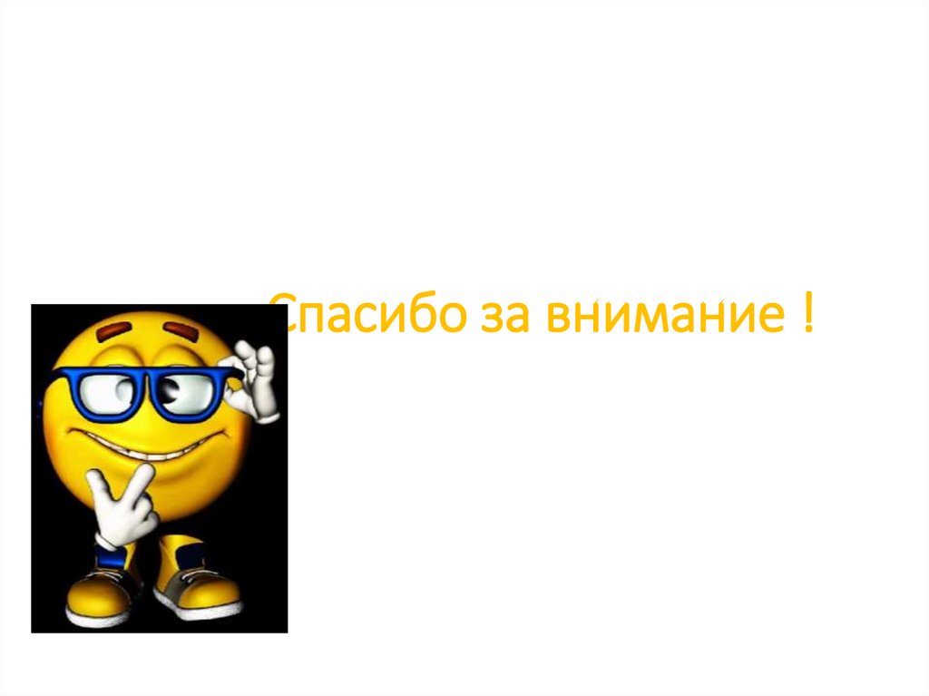 Спасибо за внимание !