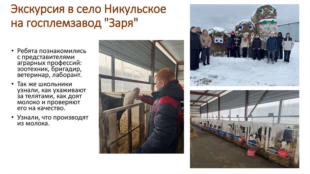 Экскурсия в село Никульское на госплемзавод "Заря"