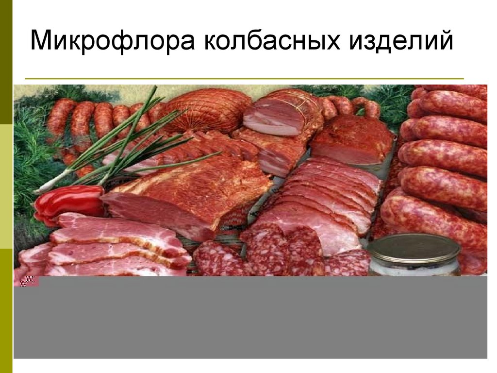 Микрофлора колбасных изделий