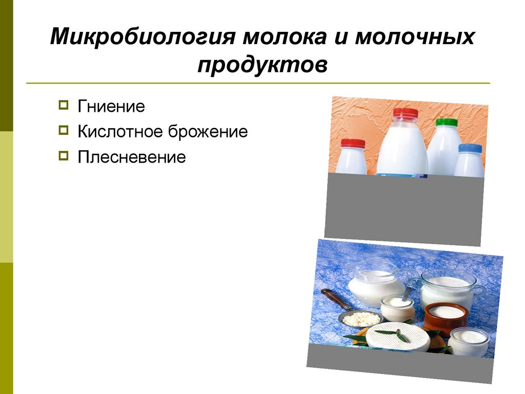 Микробиология молока и молочных продуктов