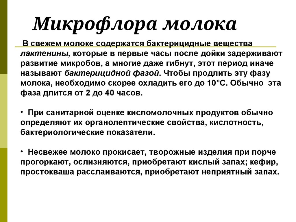 Микрофлора молока