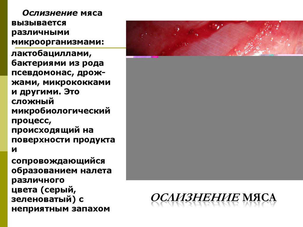 Ослизнение мяса