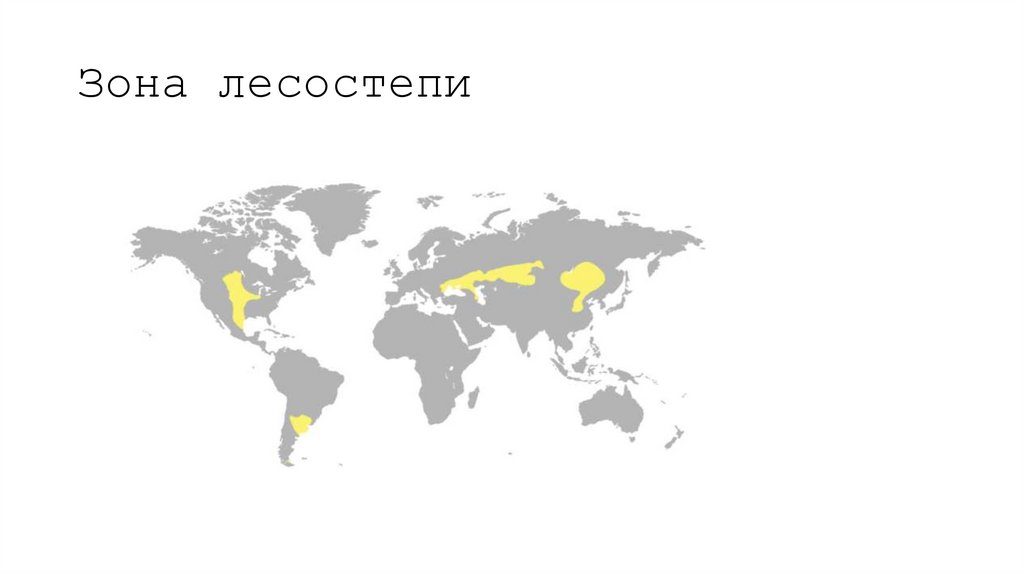 Зона лесостепи