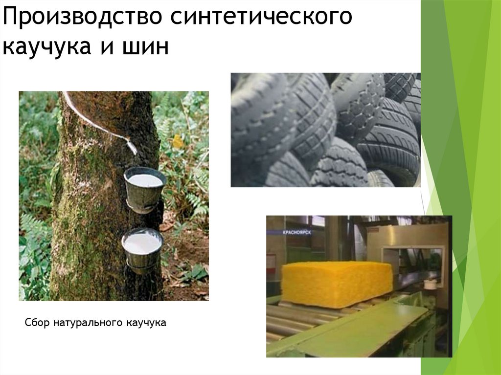 Производство синтетического каучука и шин Сбор натурального каучука