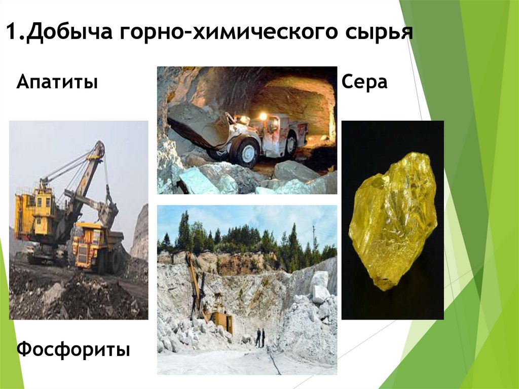 1.Добыча горно–химического сырья Апатиты Сера Фосфориты