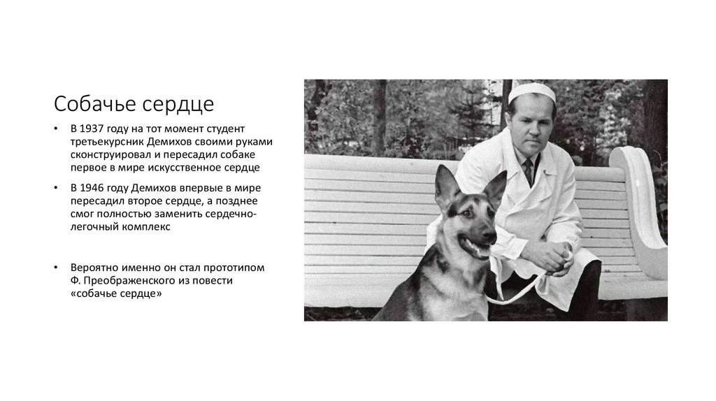 Собачье сердце