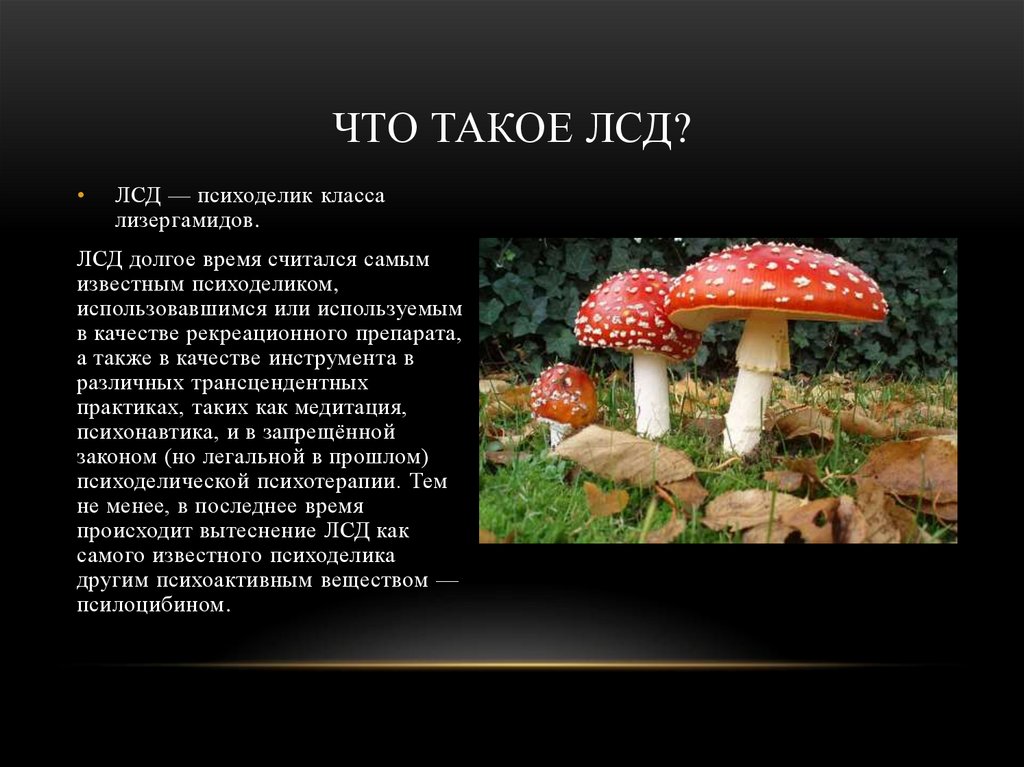 Что такое лсд?