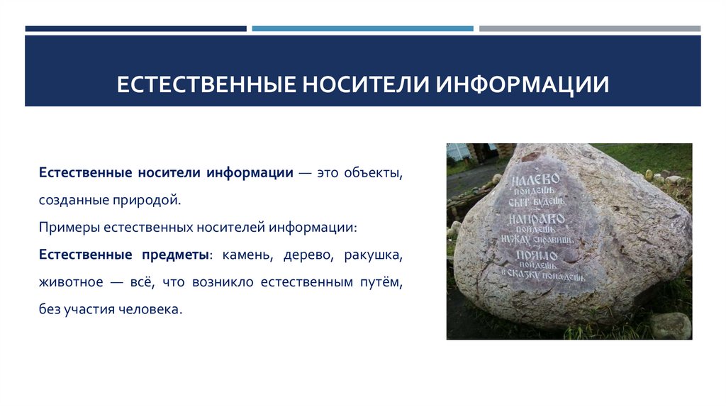 Естественные носители информации