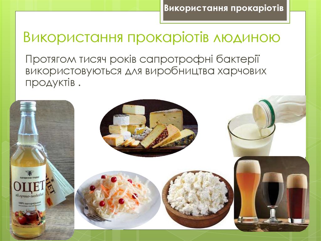 Використання прокаріотів людиною