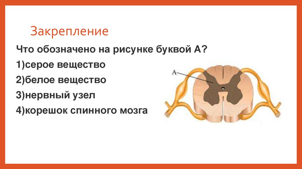 Закрепление