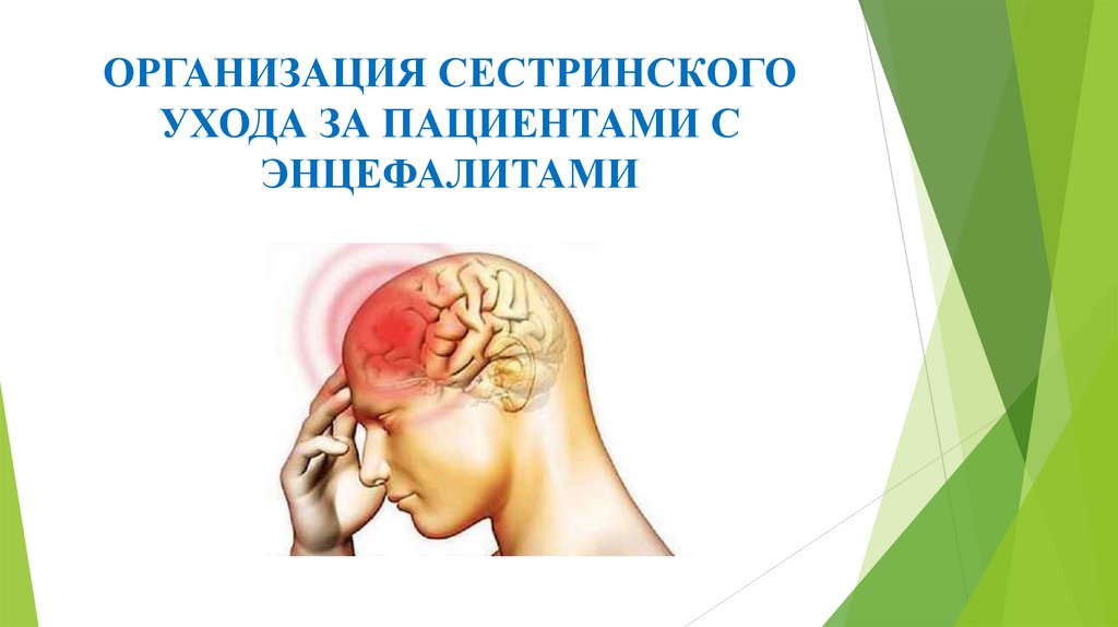 ОРГАНИЗАЦИЯ СЕСТРИНСКОГО УХОДА ЗА ПАЦИЕНТАМИ С ЭНЦЕФАЛИТАМИ