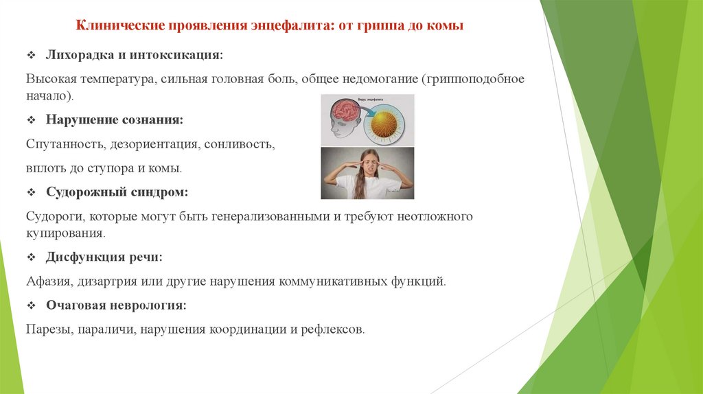 Клинические проявления энцефалита: от гриппа до комы