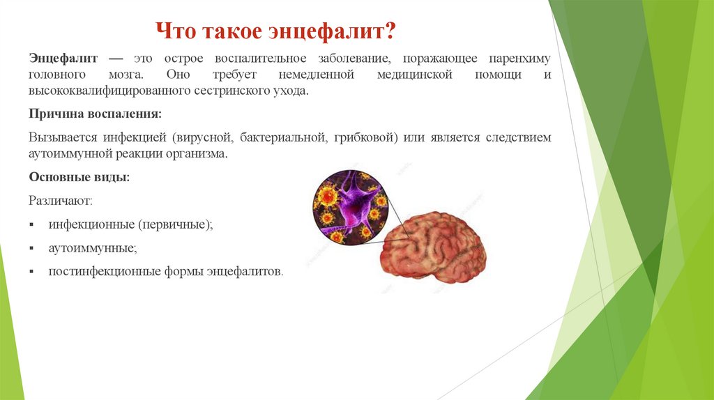 Что такое энцефалит?