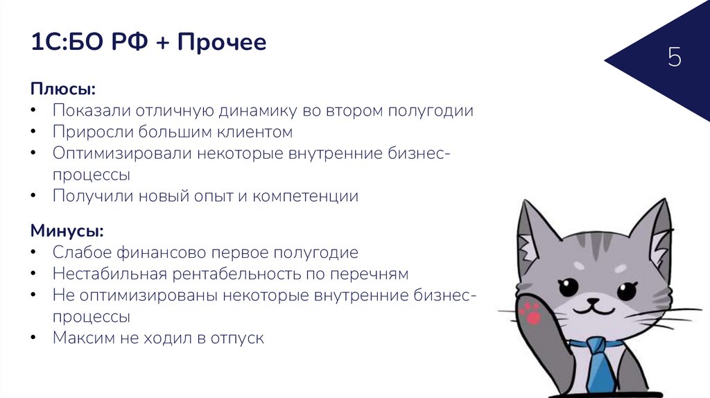 1С:БО РФ + Прочее