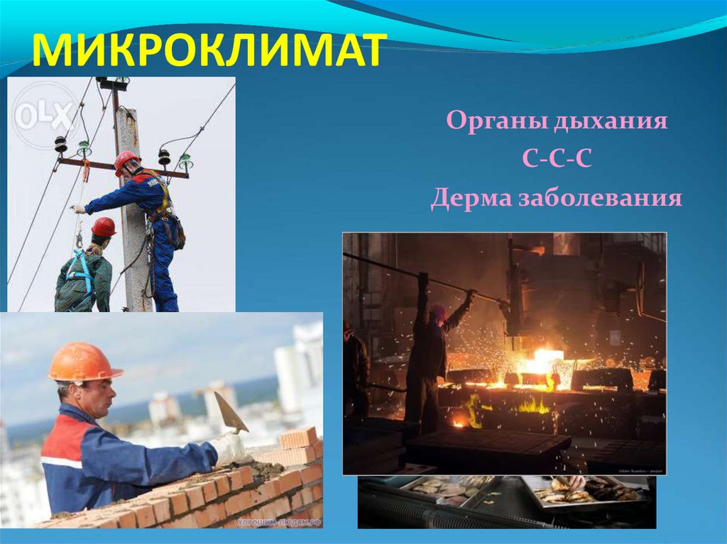 МИКРОКЛИМАТ