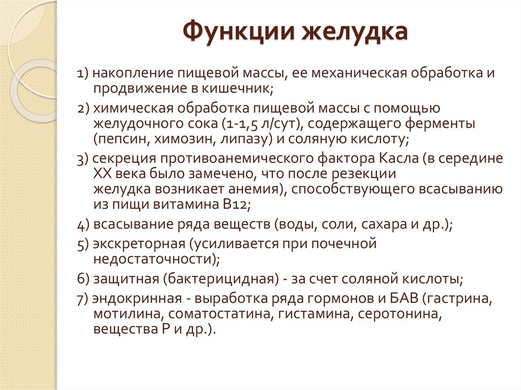 Функции желудка