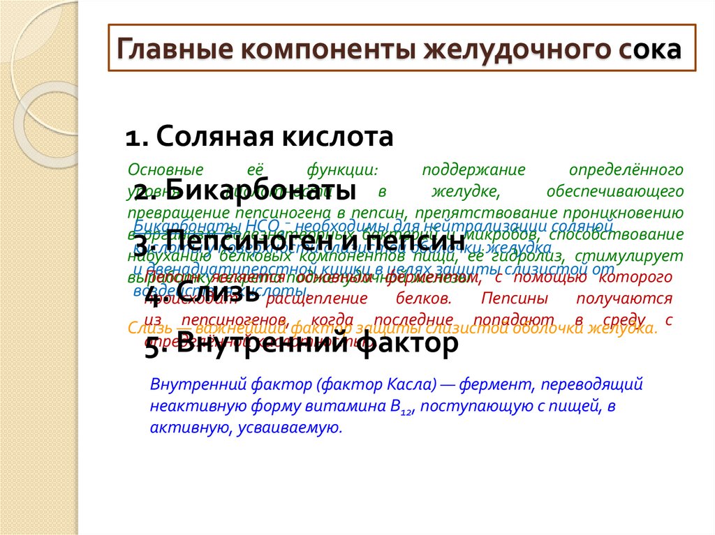 Главные компоненты желудочного сока