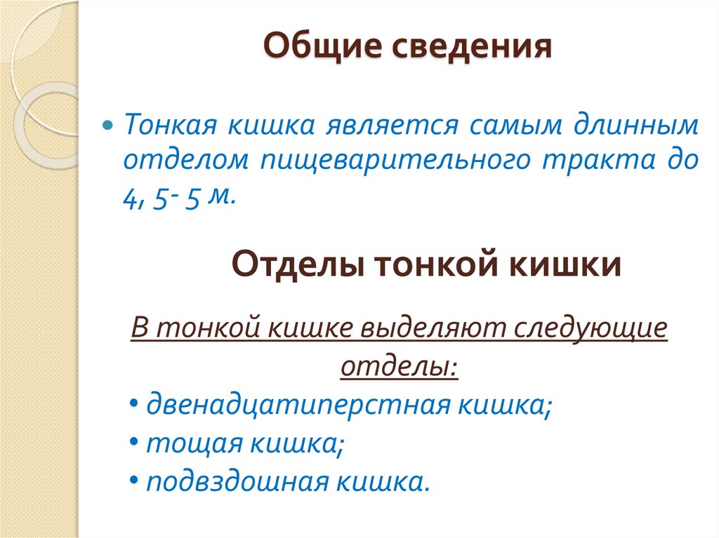 Общие сведения