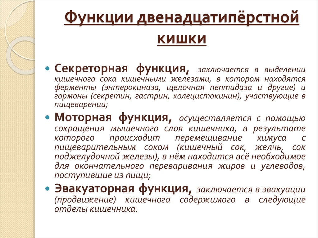 Функции двенадцатипёрстной кишки