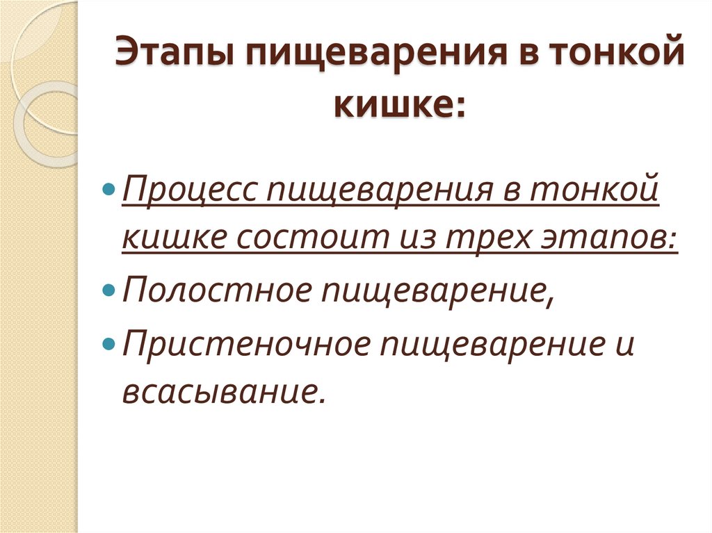 Этапы пищеварения в тонкой кишке: