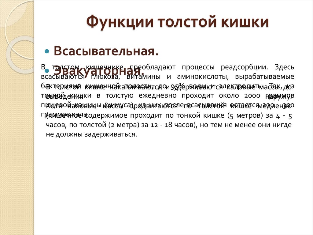 Функции толстой кишки