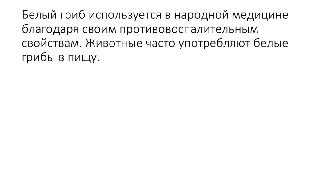 Белый гриб используется в народной медицине благодаря своим противовоспалительным свойствам. Животные часто употребляют белые