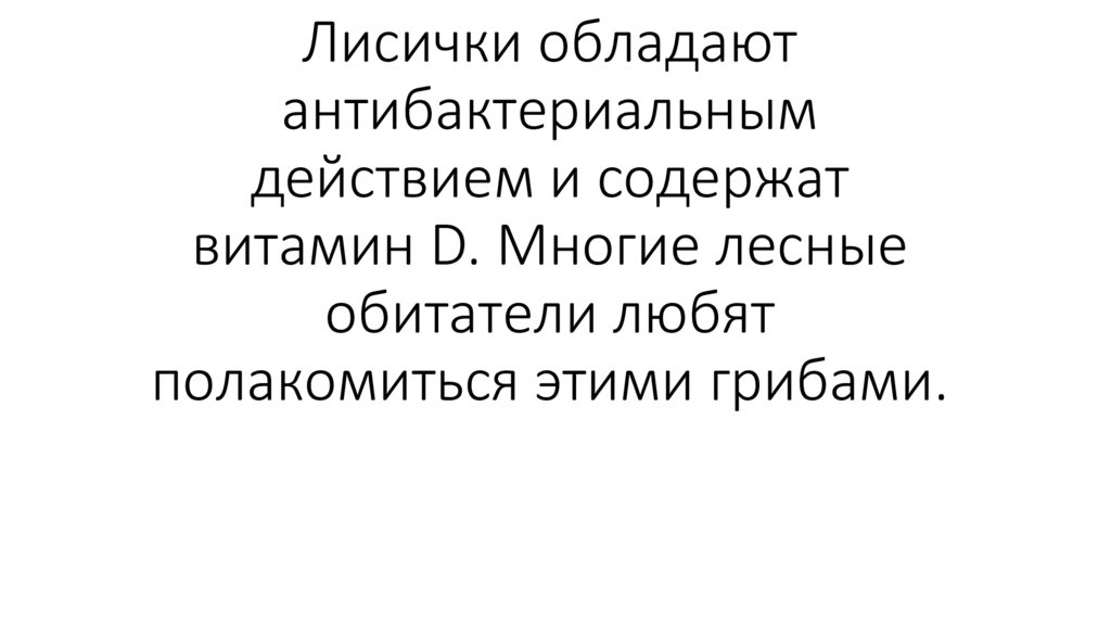 Лисички обладают антибактериальным действием и содержат витамин D. Многие лесные обитатели любят полакомиться этими грибами.