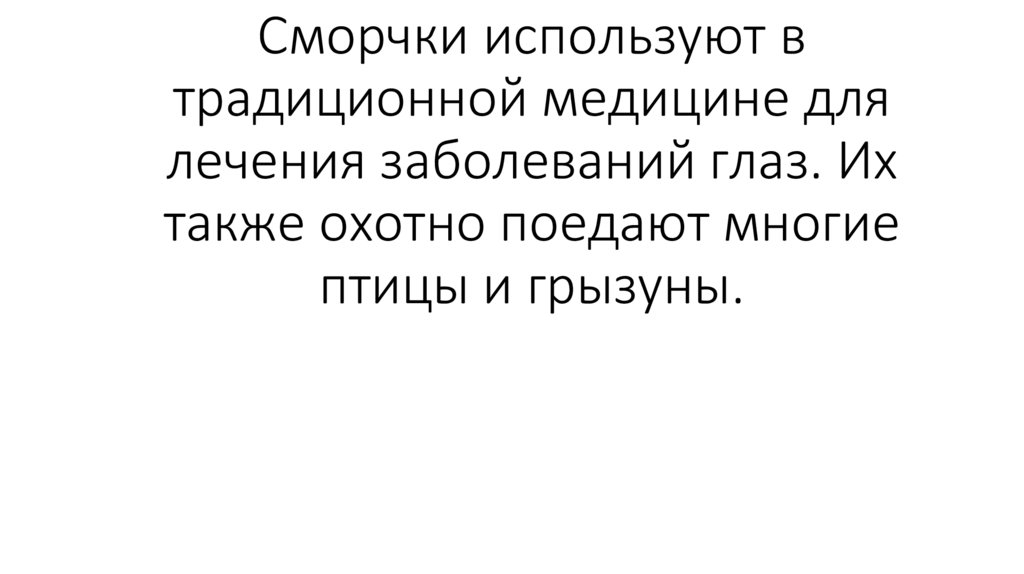 Сморчки используют в традиционной медицине для лечения заболеваний глаз. Их также охотно поедают многие птицы и грызуны.