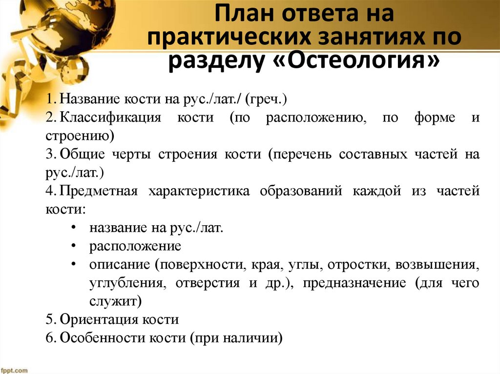 План ответа на практических занятиях по разделу «Остеология»