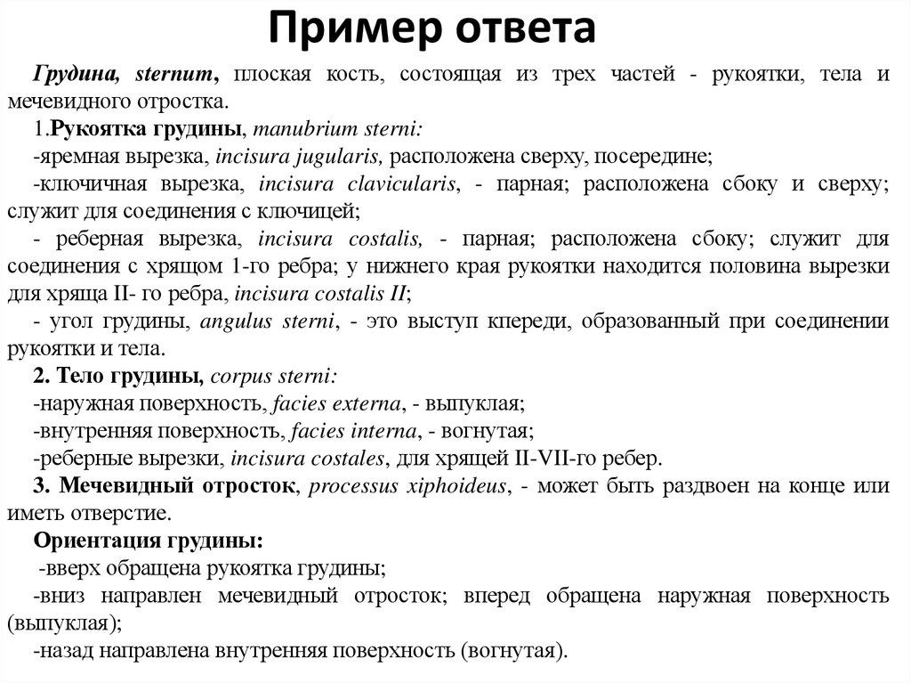 Пример ответа