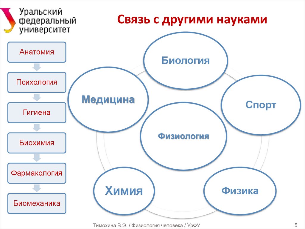 Связь с другими науками