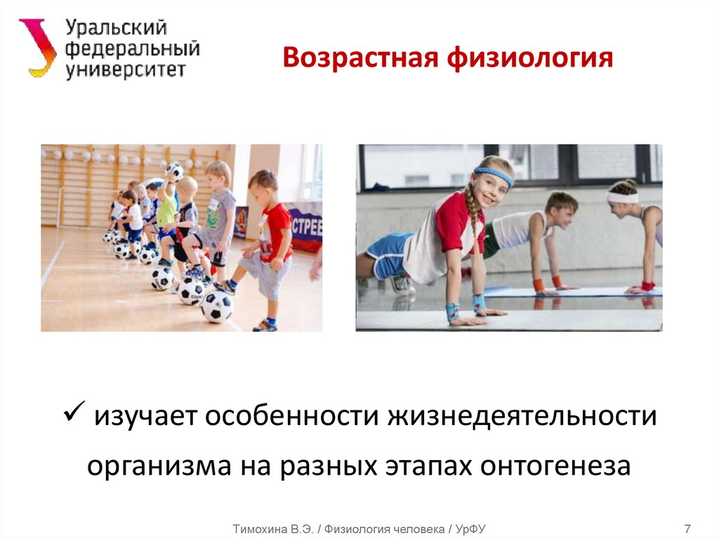 Возрастная физиология