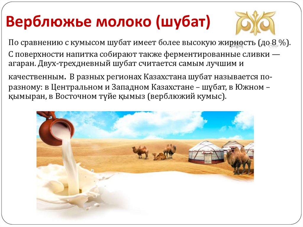 Верблюжье молоко (шубат)