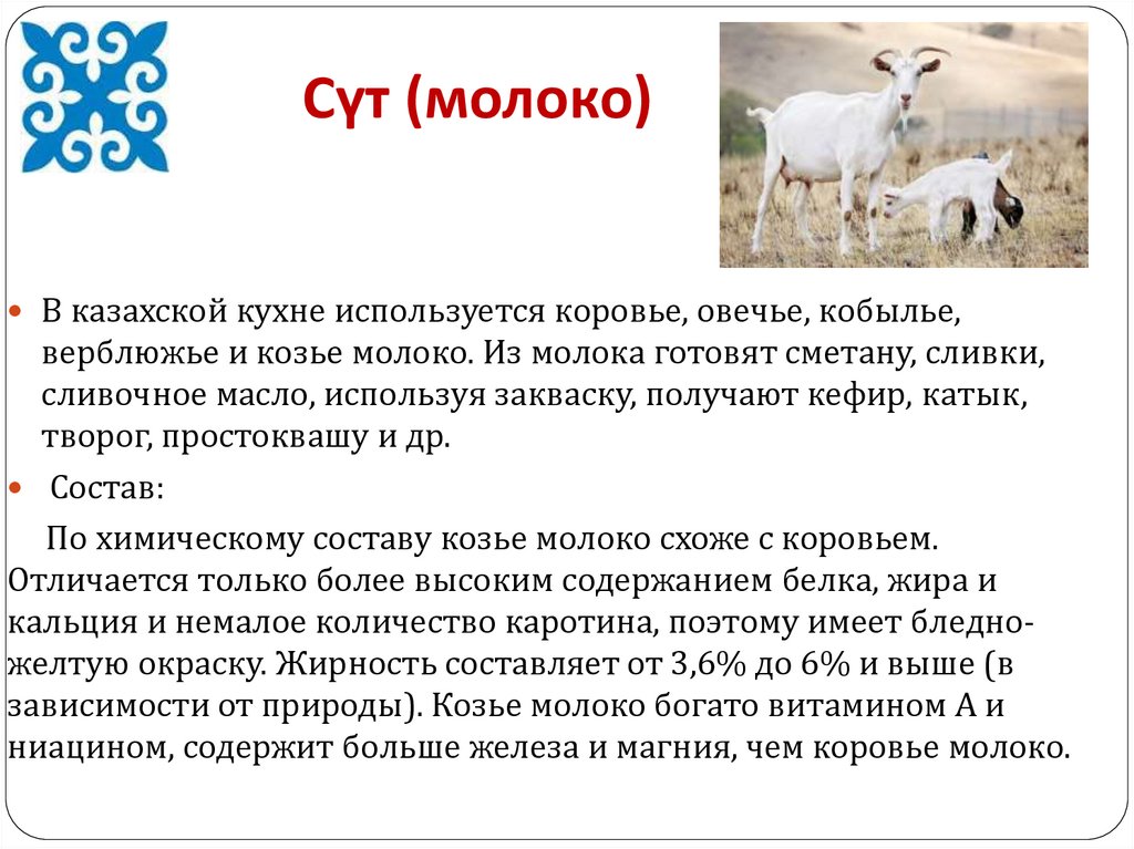 Сүт (молоко)